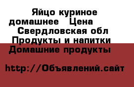 Яйцо куриное домашнее › Цена ­ 100 - Свердловская обл. Продукты и напитки » Домашние продукты   